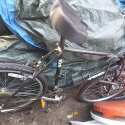 Trek Antelope 