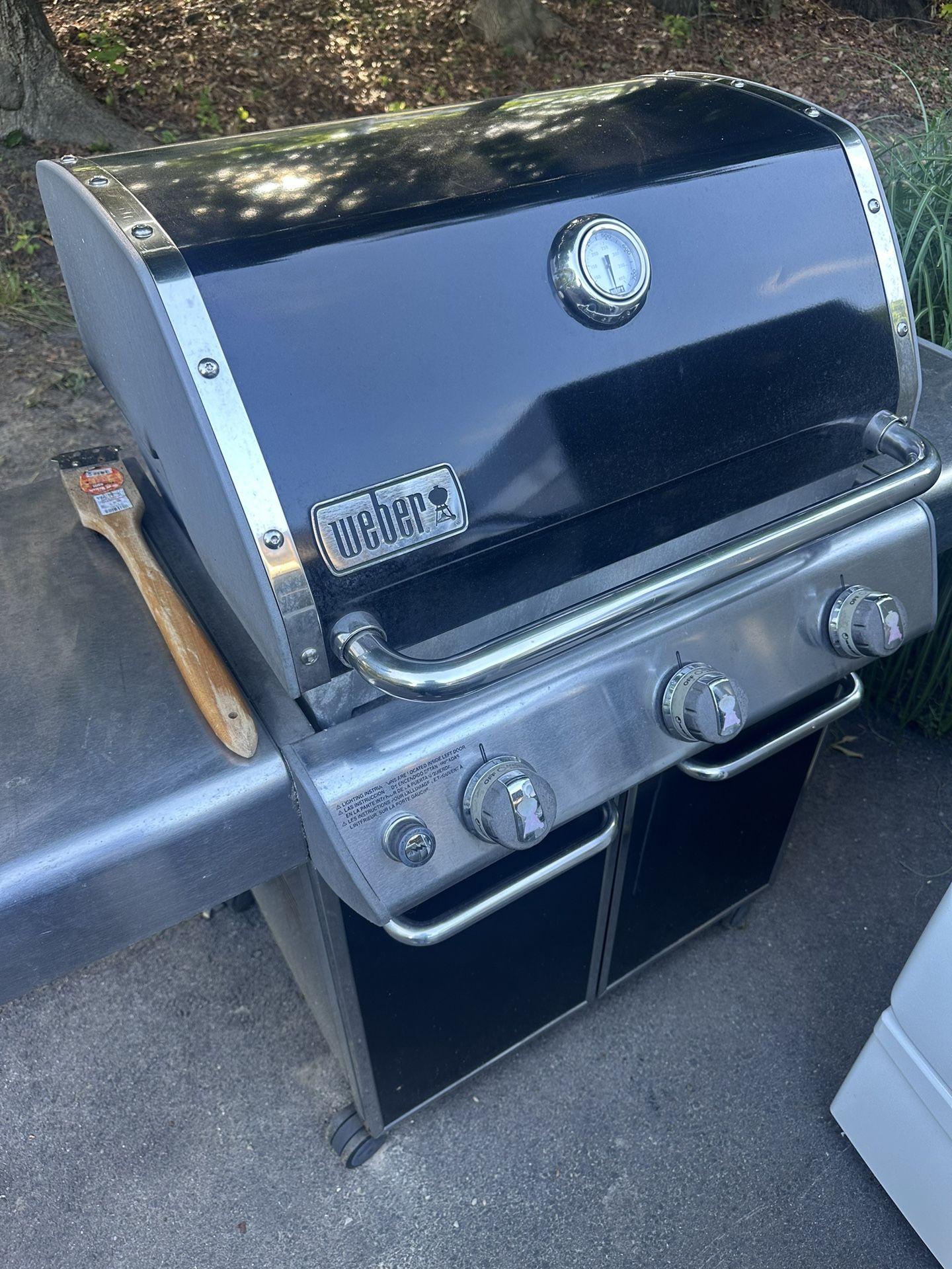 Weber Grill
