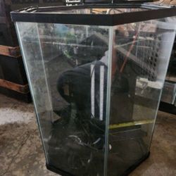 Hexagon Fishtank