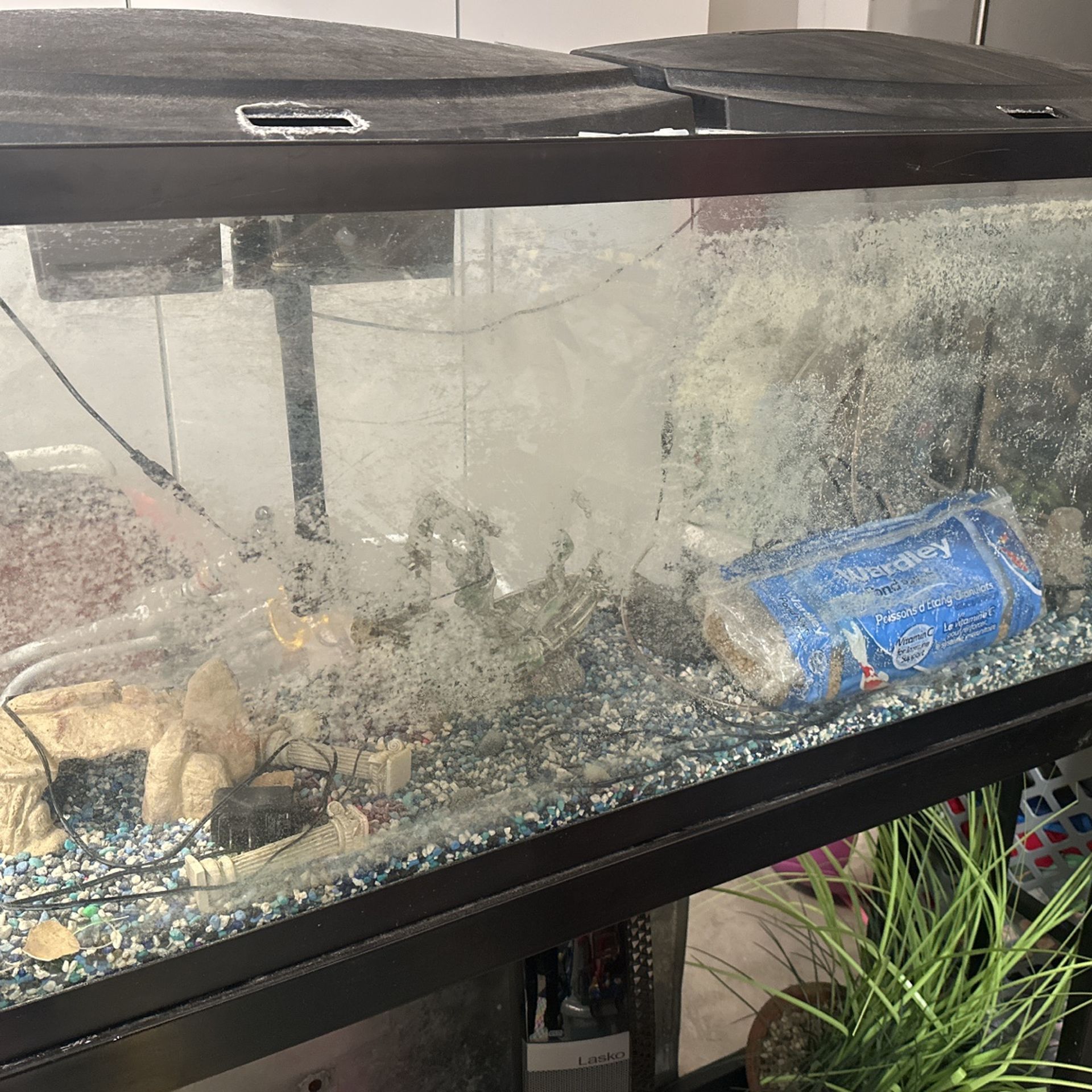 55 Gallons Fish Tank With Decor And Stand