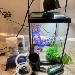2.5 Glass Gallon Tank And All Accessories