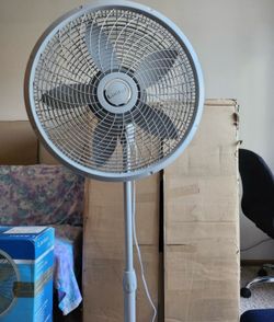 Lasko fan oscillating abanisco