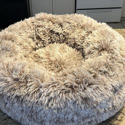 Doggy Bed