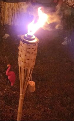 Tiki Torches and Tiki Fluid