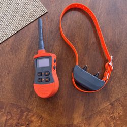 Sport dog Trainer