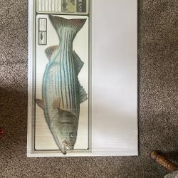 Artbeats World Record Striped Bass Poster
