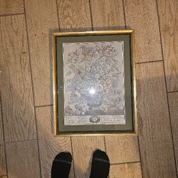 Framed Birth Month Pictures 