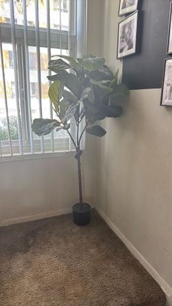 Fake plant