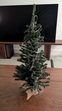 Mini tree and lights