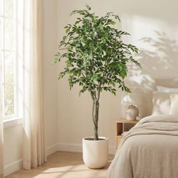 Faux 6.5' Ficus Tree $99.99