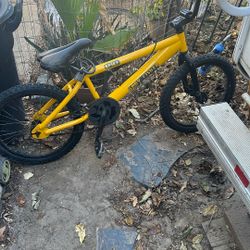 Gary Fisher Box Bike