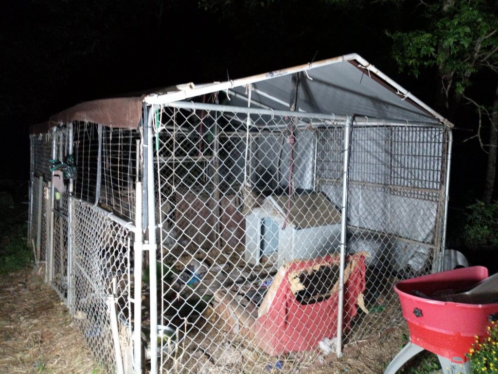 Huge 12x16 Dog Kennel With 2 Houses