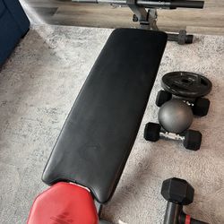Multi-Functional Weight Bench