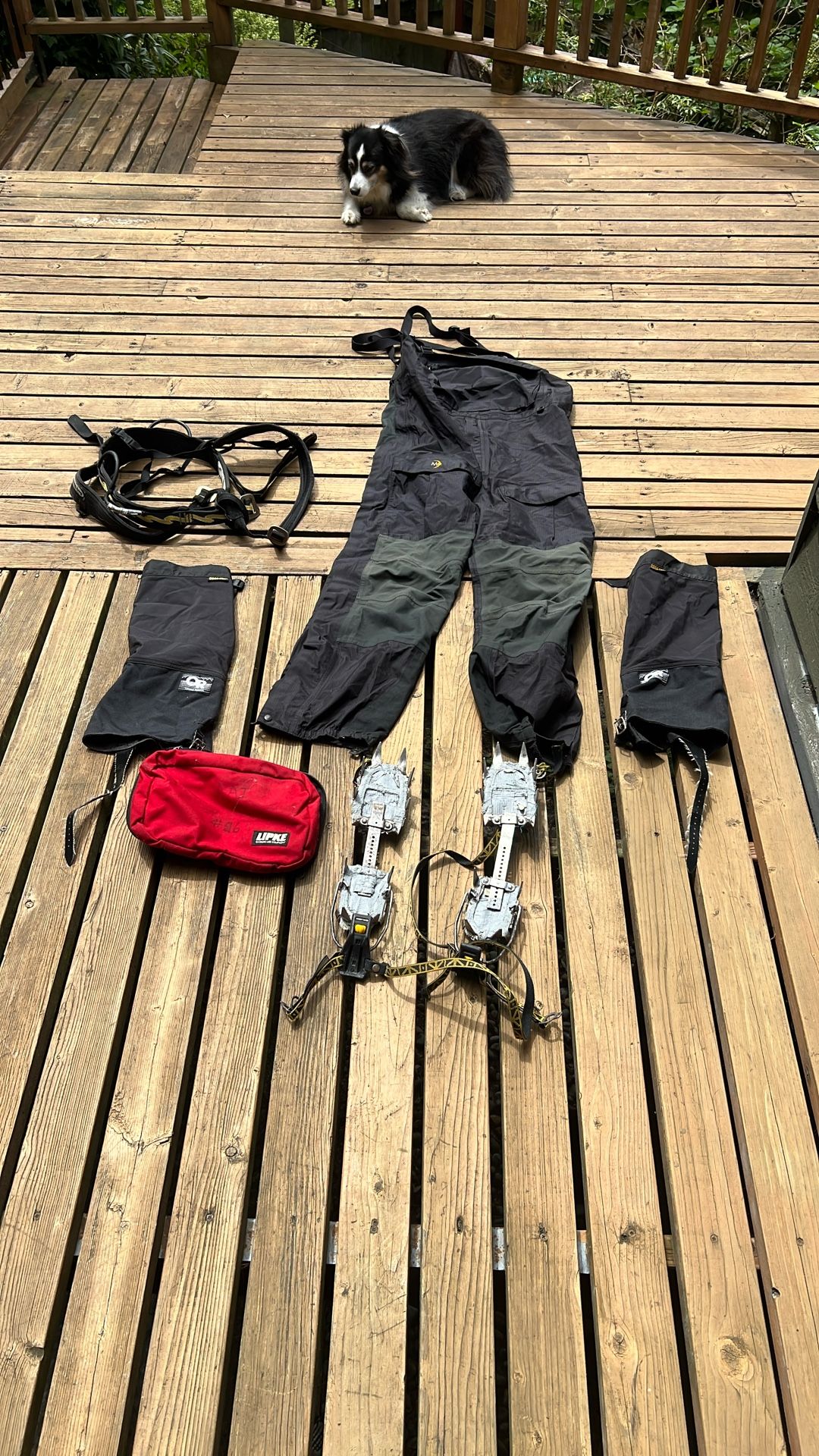Assorted Climbing Gear