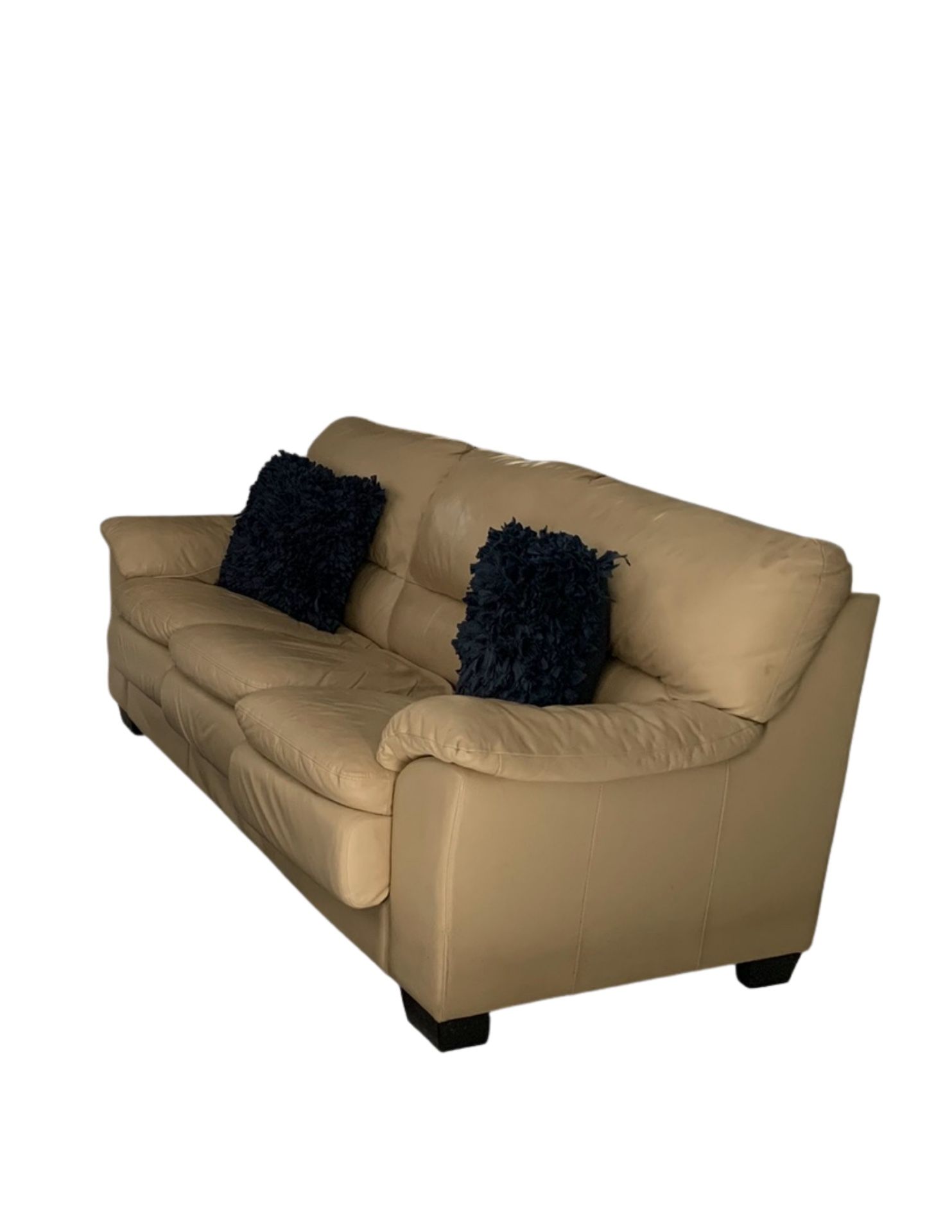 For Sale: Real Leather Pull-Out Couch (Double)