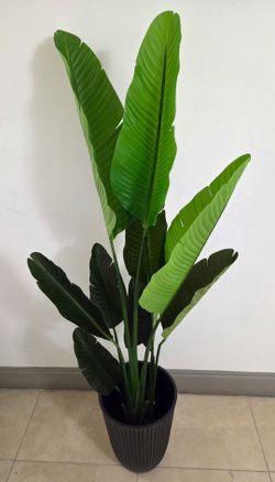 *** JUST REDUCED *** 5ft Faux Bird of Paradise in a 14in Ribbed Planter @ Lasting Creations
