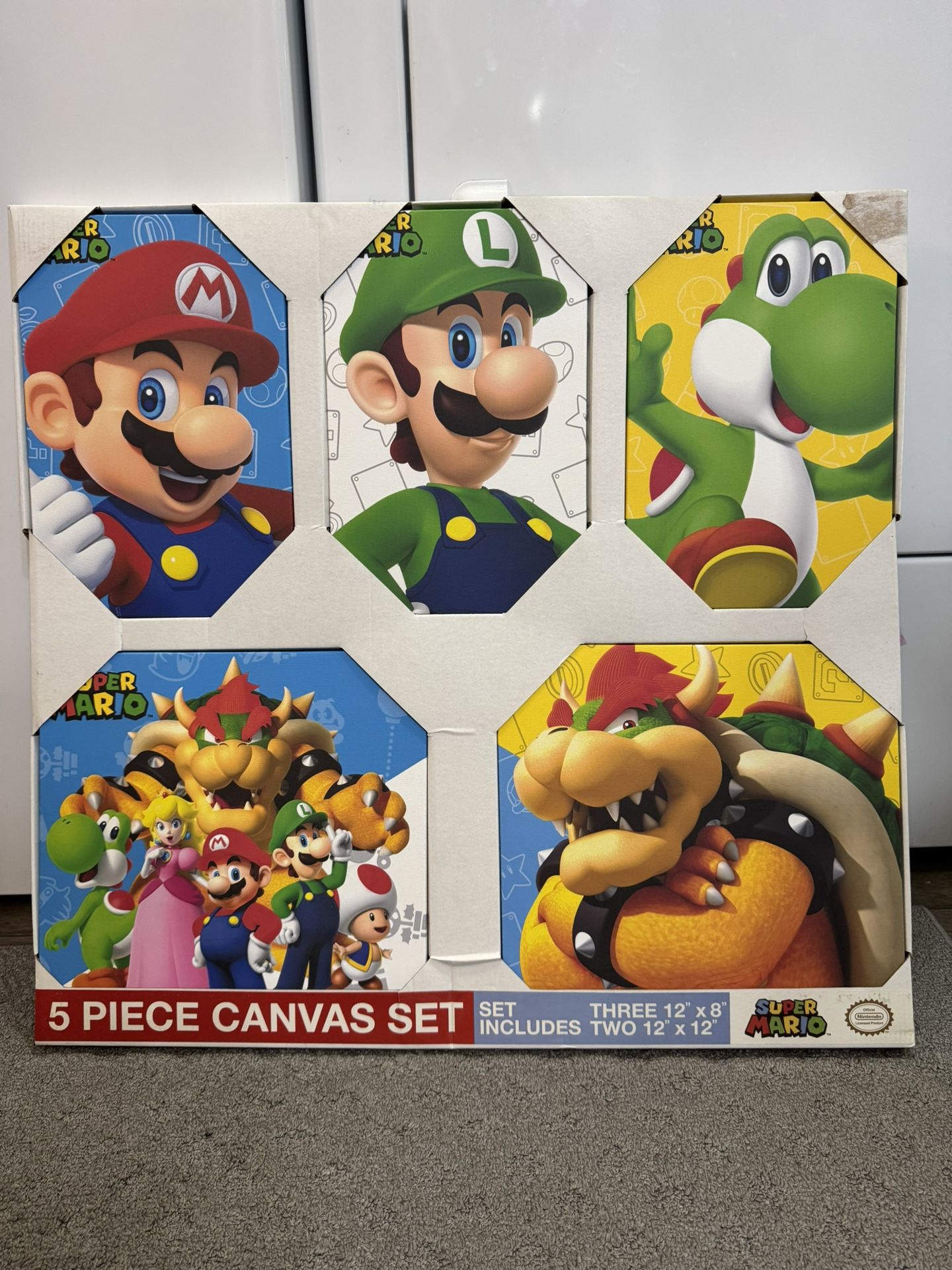 Nintendo Canvas Set