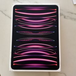 Apple ipad Pro 11inch 4th Generation No Use