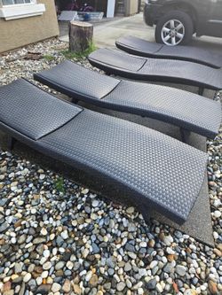 Sun Lounger's