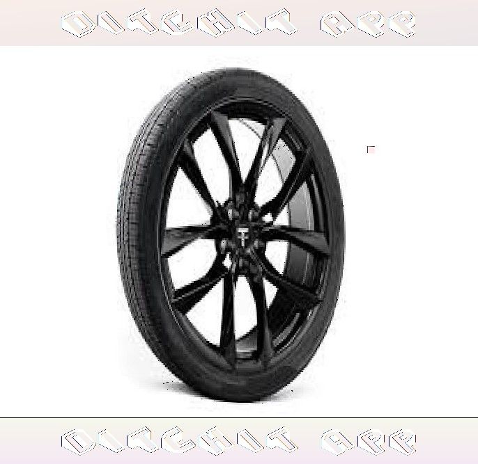 instead conference Tesla Tires All Options - Efficiency Combined with Speed