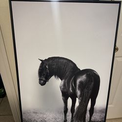 Cuadro Caballo