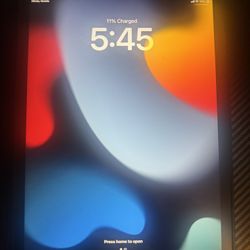 iPad 9th Generation 64 Gb