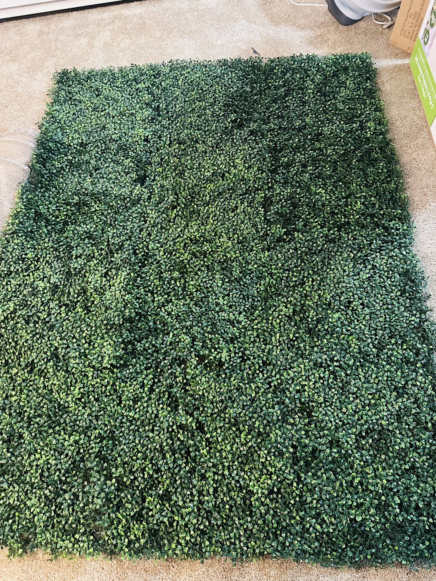 Grassy Wall!