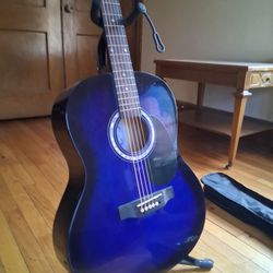 Beginner's Guitar