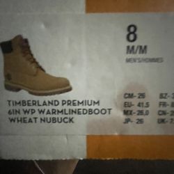 Timberlands size 8 in men
