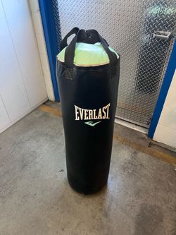 Everlast punching bag