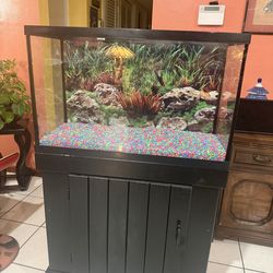 Fish tank with underneath cabinet