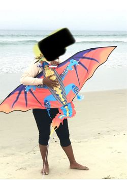 Kite