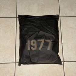 2022 Fear of God Essentials Essentials 1977 Hoodie 'Iron'