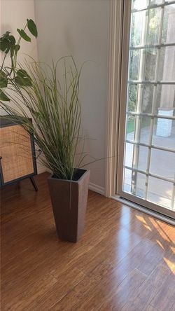 Fake plant and pot
