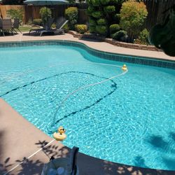 Filter And Salt Cell Clean