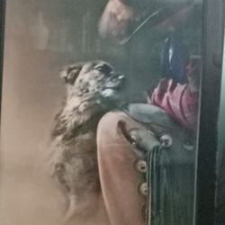 Cowboy / Dog