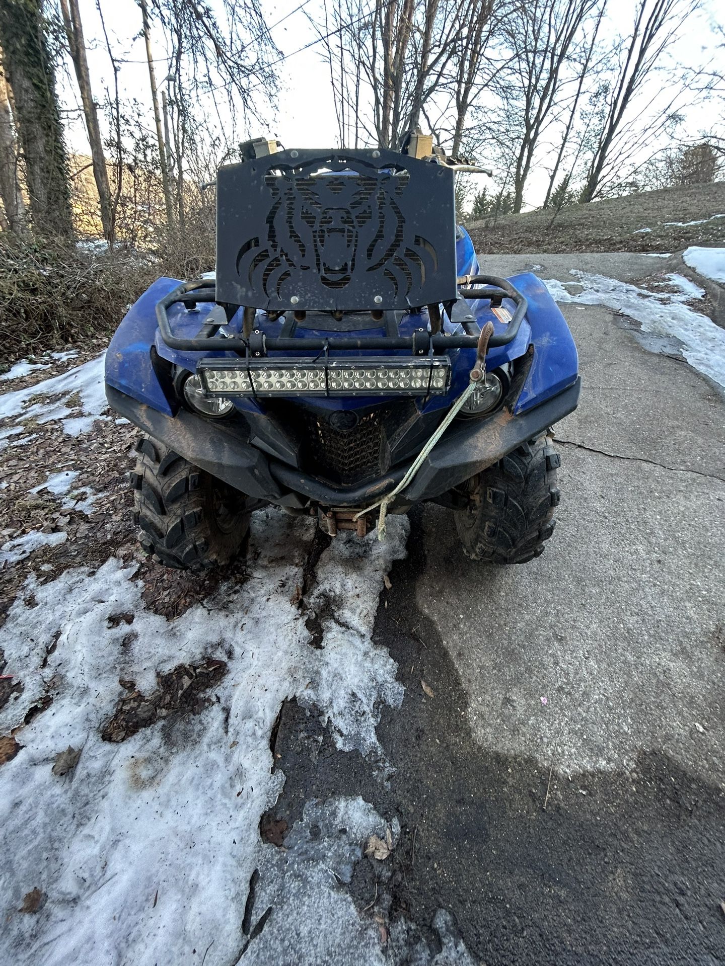 2016 Yamaha Grizzly