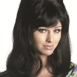 NEW IN PACKAGE 60s 70s Women Housewife Cone Top Beehive Wigs Wife Short Black Hair