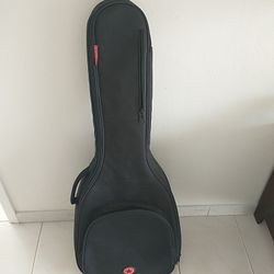 Road Runner Gig Bag - Guitar Soft Case / Guitar Carrying Bag