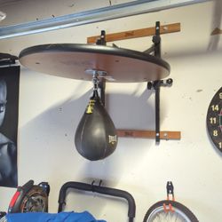 Everlast Speedbag
