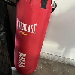 Boxing Punching Bag. 