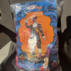 Captain Hook Pirata Pirate