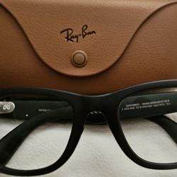 Meta Raybans