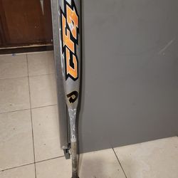 Baseball Bat 34