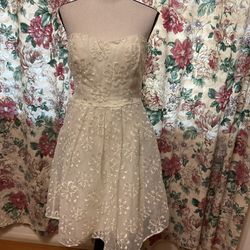 #252=Ivory Mini Dress.  Brand Name: Lulu’s. Size Medium.