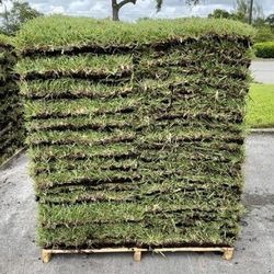 High Quality Sod - INSTALL ONLY