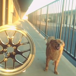 1  Aluminum Weld  Wheel