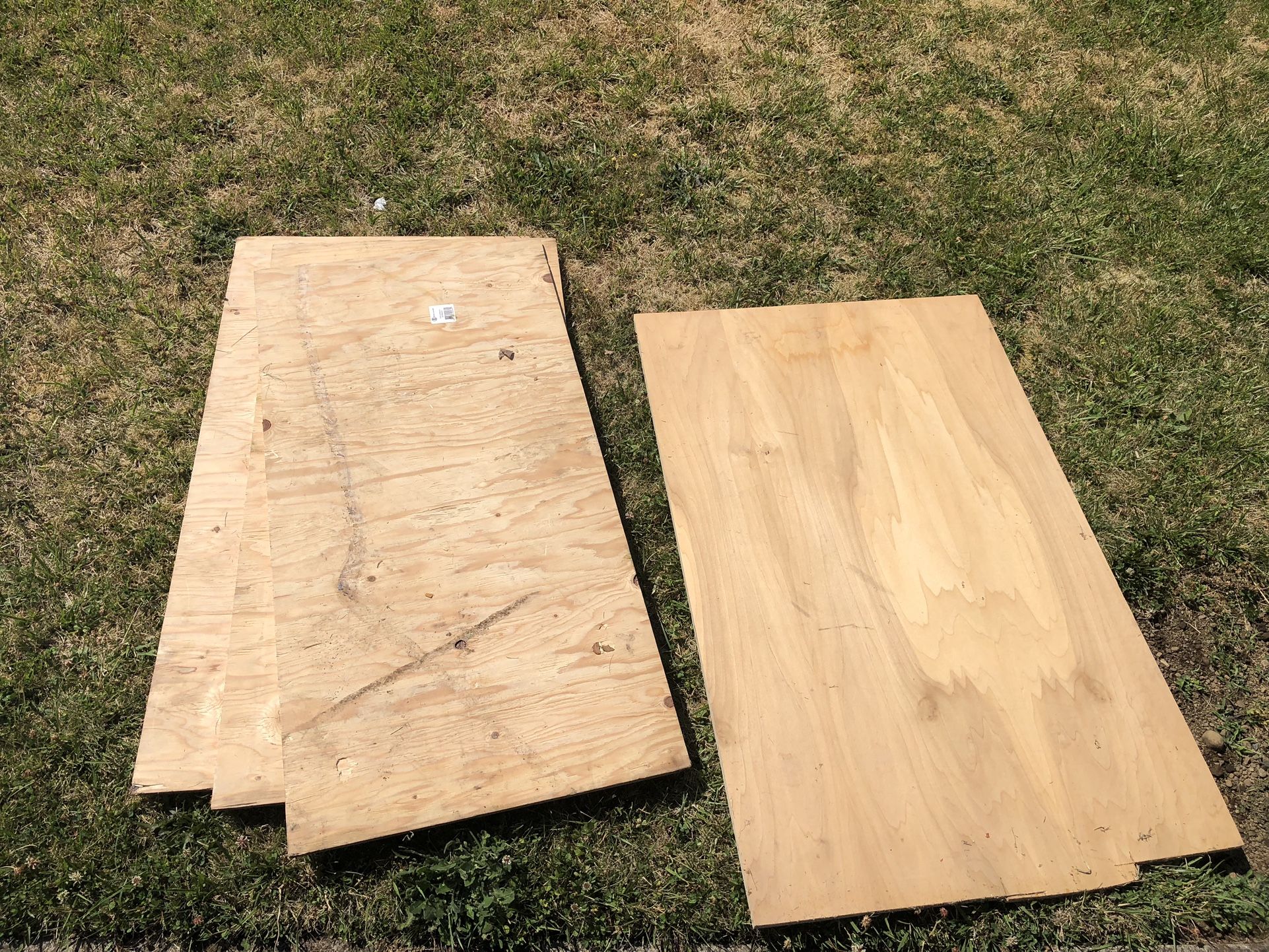 Plywood Sheets - $5
