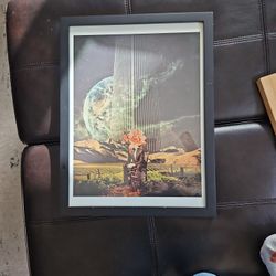 Framed Art