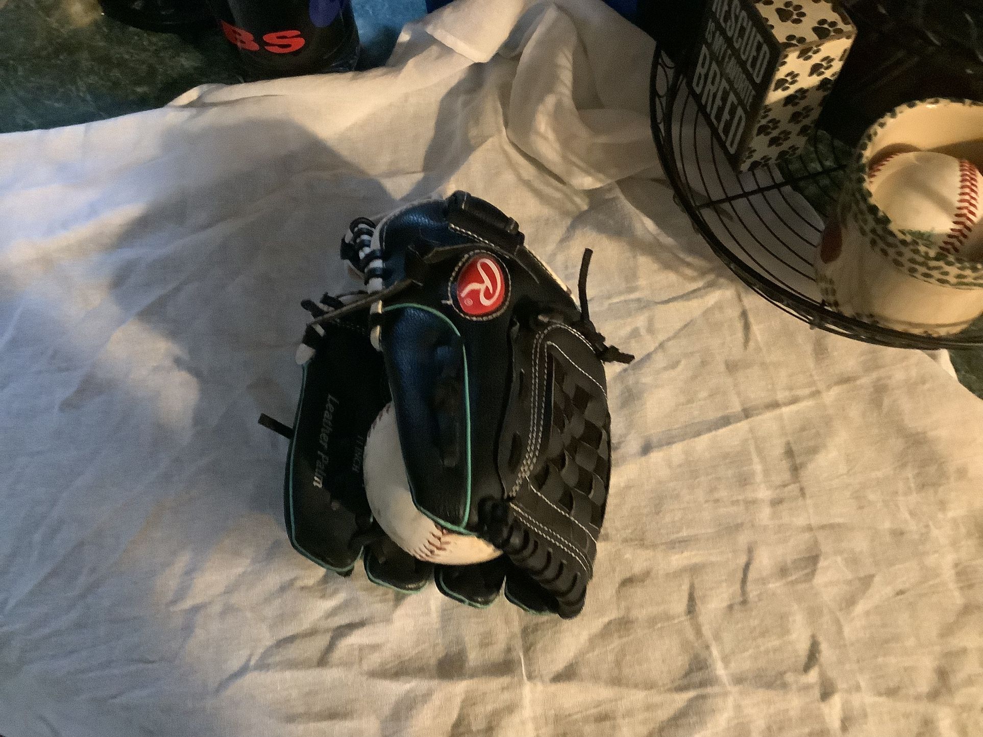Rawlings Girls softball glove 11” like new condition with 2 softballs, adjustable wrist strap  Plainfield, Illinois